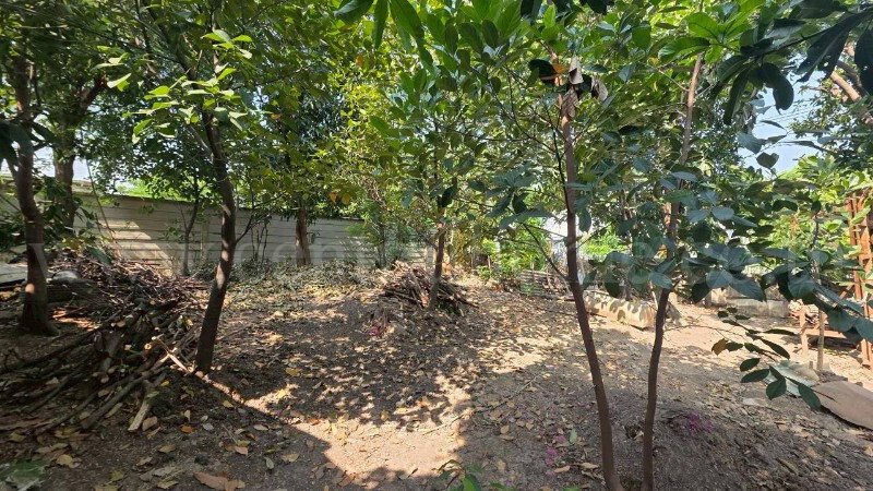 รูป ที่ดิน 1 ไร่ 15 ตารางวา พร้อมสิ่งปลูกสร้าง บางซื่อ ราคาถูกมาก - รูปที่ 9/10