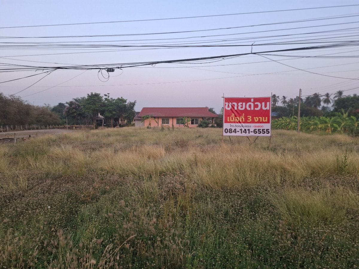 picture Land for sale in Phetchabun ,Saraburi-Lomsak road. - 9/12