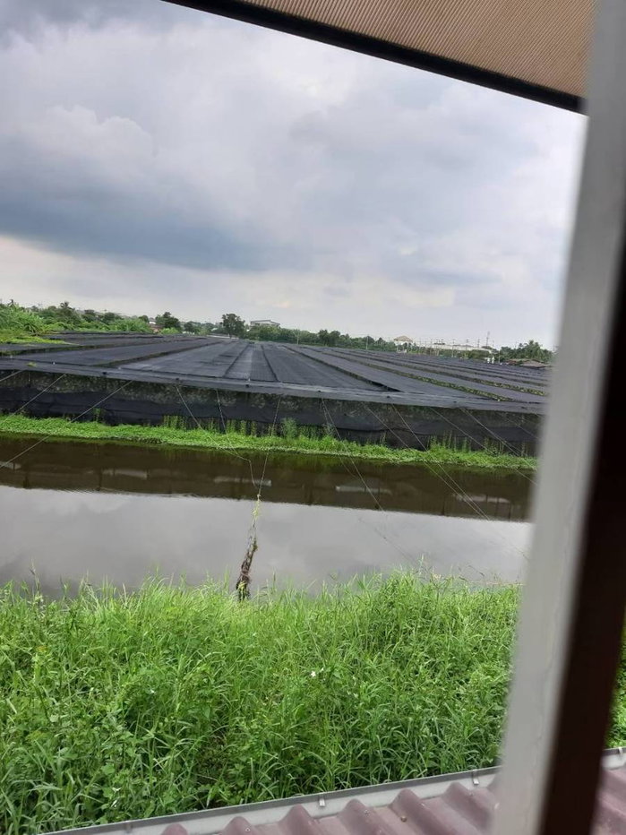 รูป ให้เช่า พฤกษา 83 ติดเซ็นทรัลศาลายา  - รูปที่ 2/17