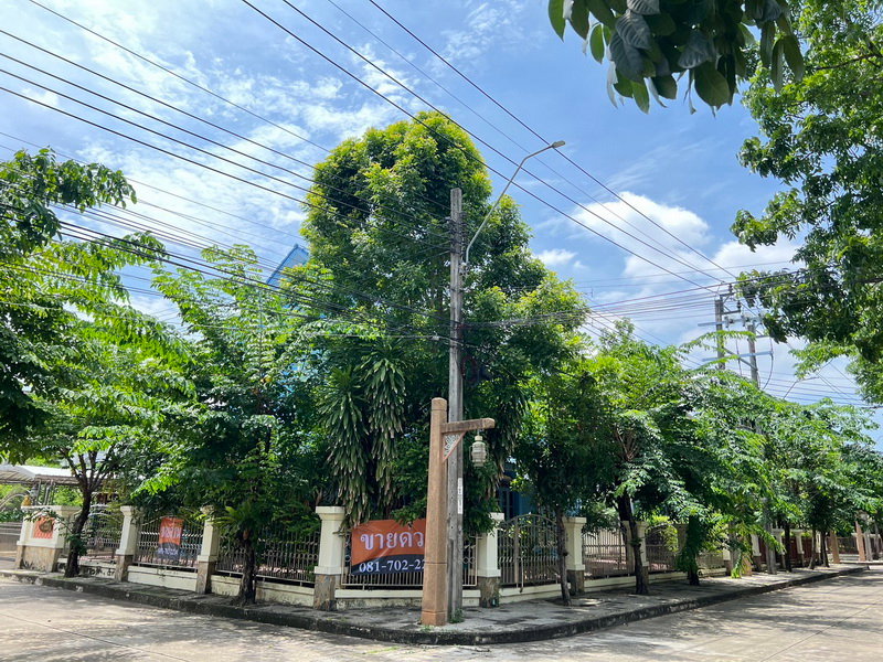 รูป ขายด่วน บ้านเดี่ยว ม.ลัดดารมย์ เพชรเกษม69 บางบอน4 เนื้อที่ 105.7 ตรว. - รูปที่ 16/16