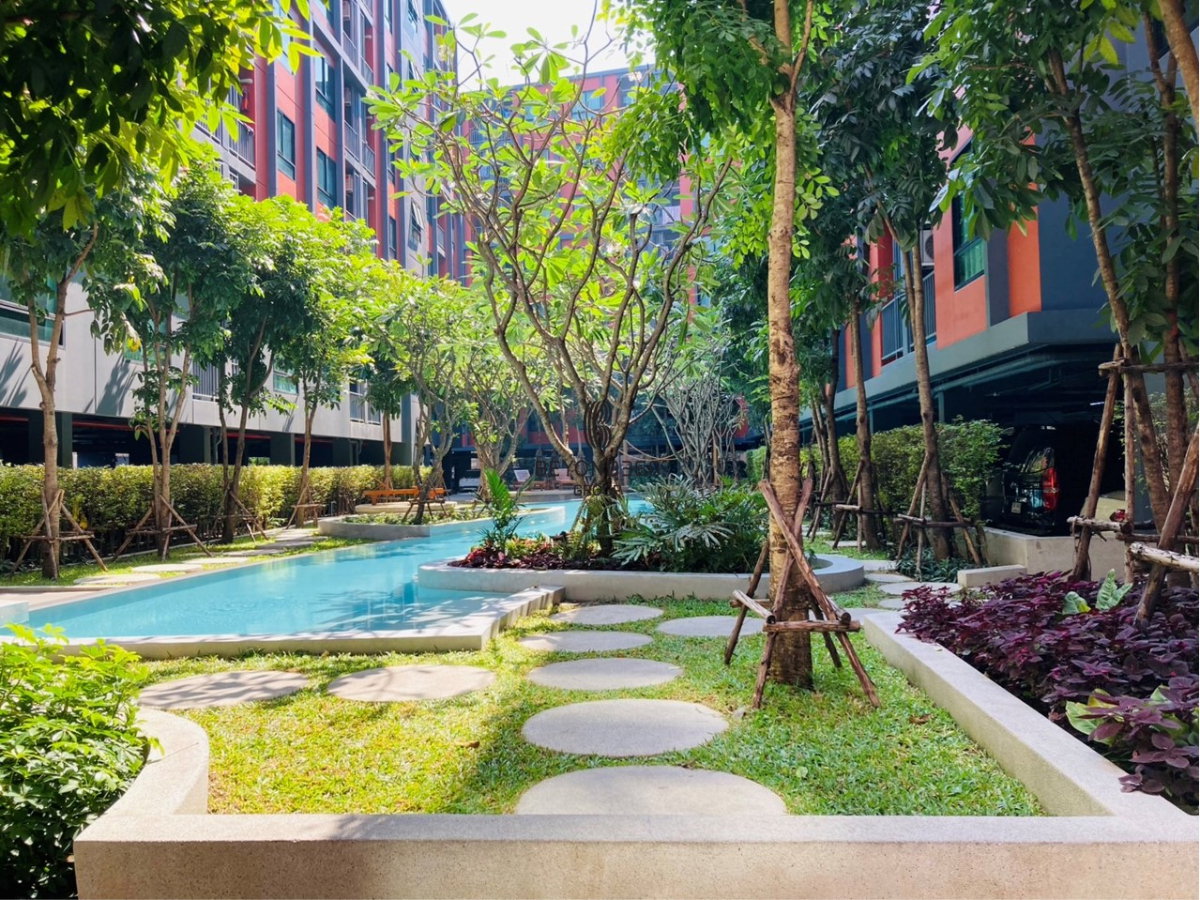 picture Monte Rama 9   🌟PN-00006511🌟 - 18/20