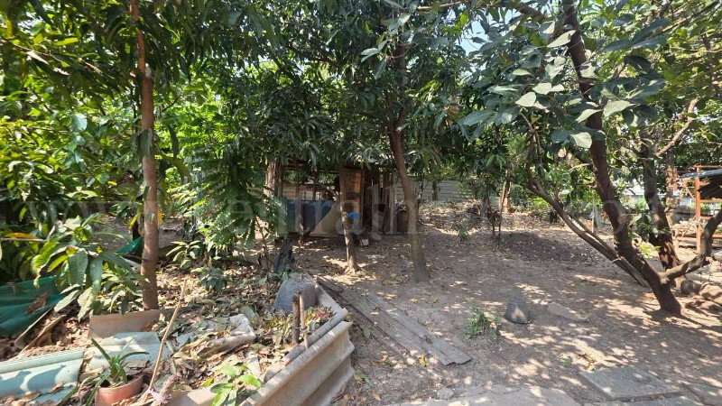 รูป ที่ดิน 1 ไร่ 15 ตารางวา พร้อมสิ่งปลูกสร้าง บางซื่อ ราคาถูกมาก - รูปที่ 6/10