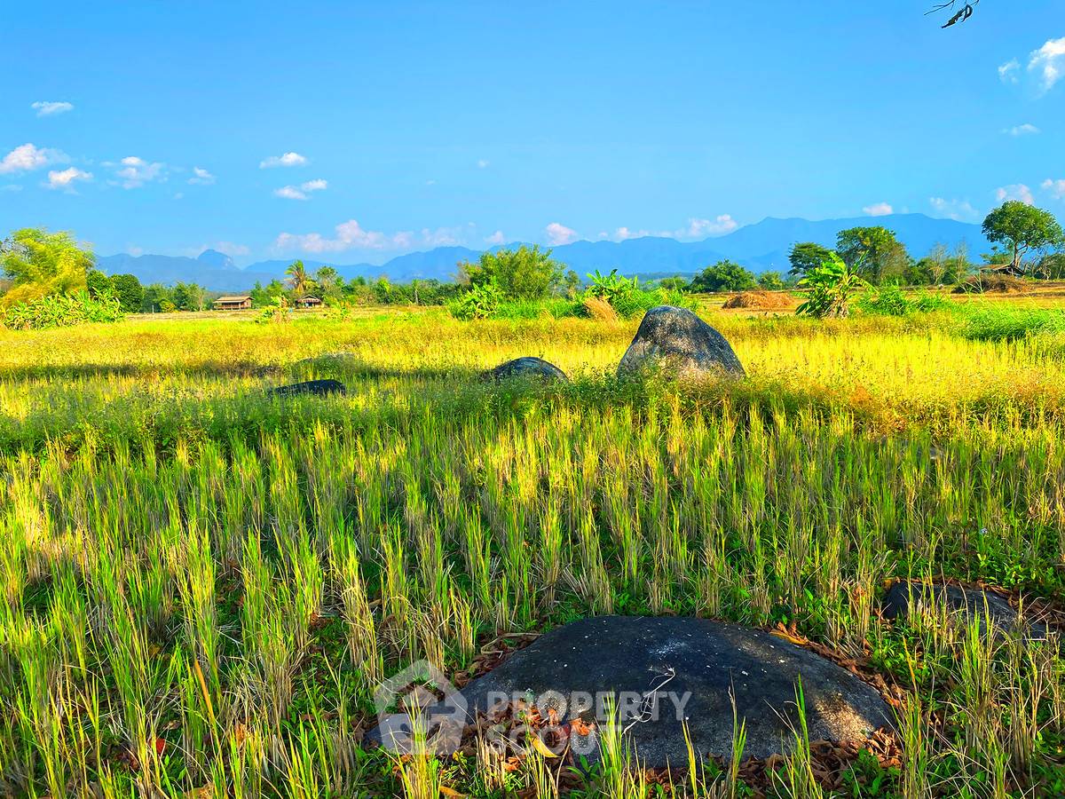 picture 12,896 m² Land for Sale in Mae Na (ID 2654835) - 13/14