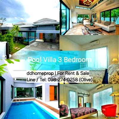 เช่าบ้านเดี่ยว มหาวิทยาลัยบูรพา : ปล่อยเช่า 45,000 /เดือน พลูวิลล่า ให้เช่า 3 ห้องนอน 2 ห้องน้ำ 1 ห้องนั่งเล่น ใกล้ทะเลบางแสน