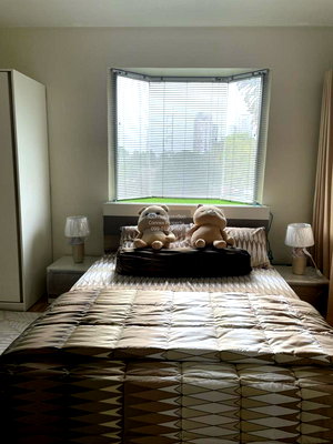 คอนโดให้เช่า : เช่าคอนโด  กรีน พอยท์ ประชาชื่น MRT-วงศ์สว่าง วงศ์สว่าง เขต บางซื่อ กรุงเทพ CX-99099 ✅ ทักไลน์ @connexproperty ตอบทันที ทีมงานมืออาชีพ ✅