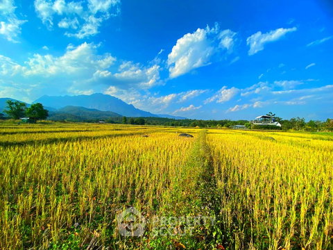 12,896 m² Land for Sale in Mae Na (ID 2654835)