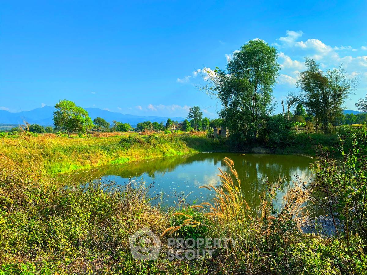 picture 12,896 m² Land for Sale in Mae Na (ID 2654835) - 7/14