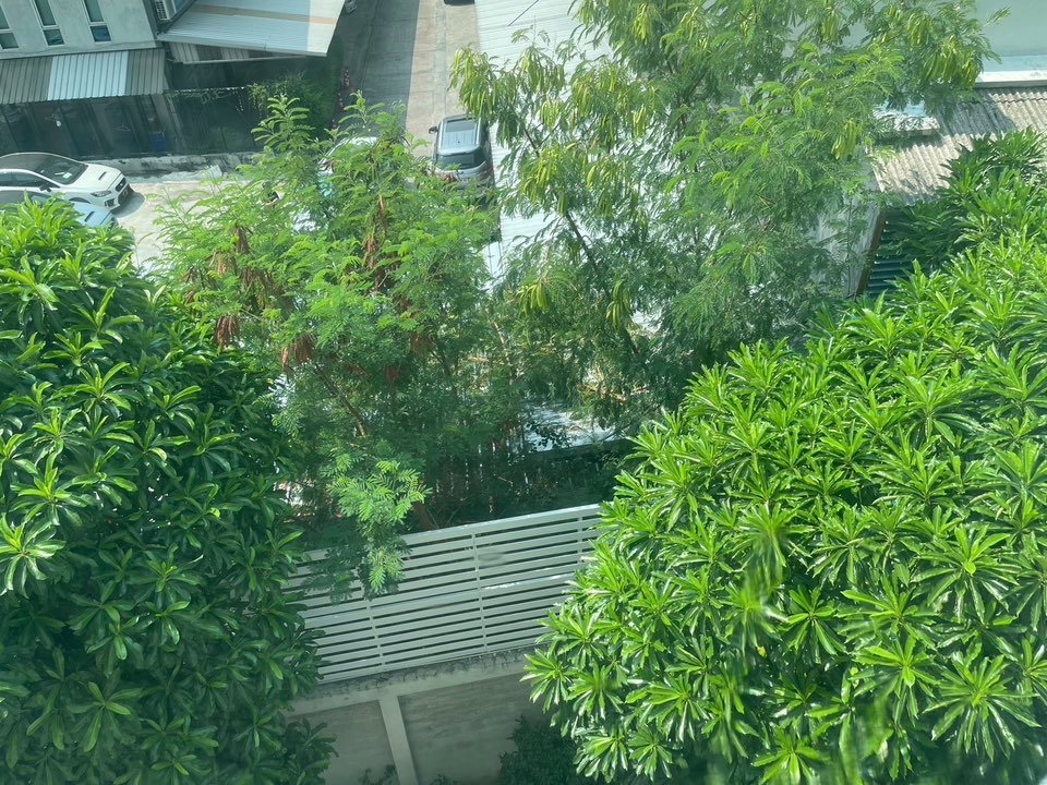 รูป 🏢 ให้เช่าคอนโด : S1 Rama 9 (เอส วัน พระราม 9)   รหัสทรัพย์ | 📌LNP-C7149 - รูปที่ 4/21