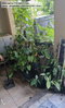 listing thumbnail image 23