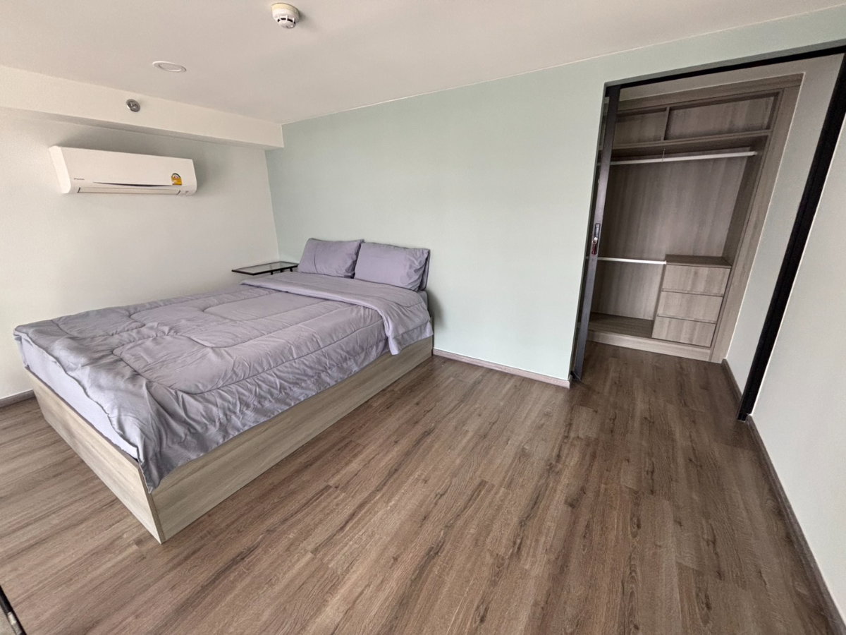 picture ✨🦄 Special Offer 🦄✨Knightsbridge kaset - society - 5/17