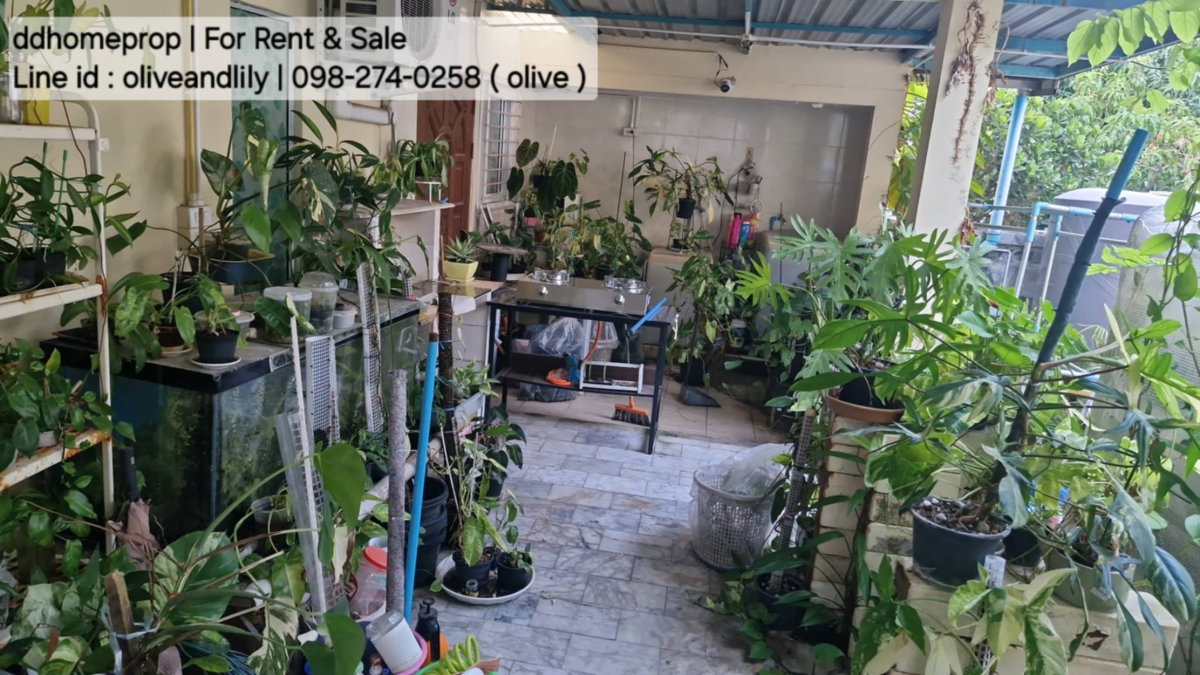 รูป ปล่อยเช่า 35,000 /เดือน บ้านเดี่ยวให้เช่า 4 ห้องนอน 3 ห้องน้ำ 2 ห้องนั่งเล่น บ้านหลังใหญ่ใกล้ทะเลบางแสน - รูปที่ 22/26