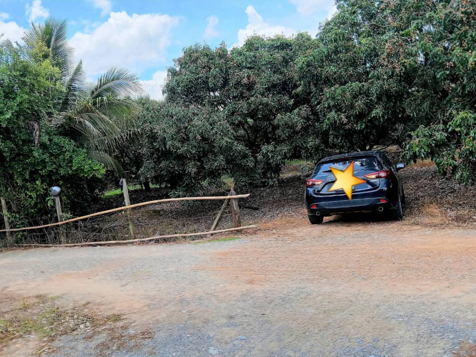 รูป ขายที่ดินแปลงสวยหางดง เห็นวิวเขา 180 องศา พร้อมสวนลำไย บรรยากาศดีมาก -SW003605 - รูปที่ 4/8