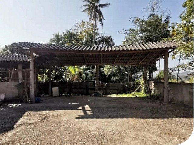 picture FOR SALE HOUSE PROPERTY 761000 BAHT. - 6/8
