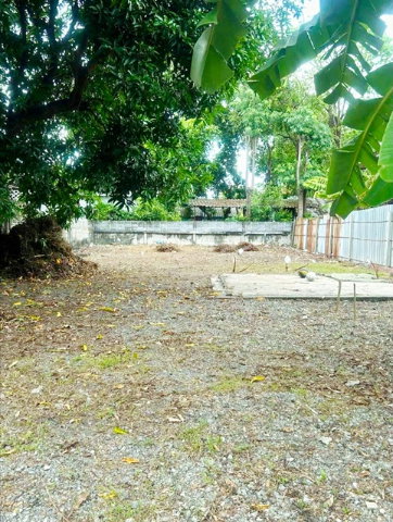 รูป นักบุญเปโตร1.28กม. สาย1 บางแวก108-118 ที่ดินให้เช่า 100ตร.วา. ใกล้ MRTเพชรเกษม48 MRT หลักสอง เหมาะทำโกดัง ลานจอดรถ ม.สยาม 2.2 กม - รูปที่ 4/8