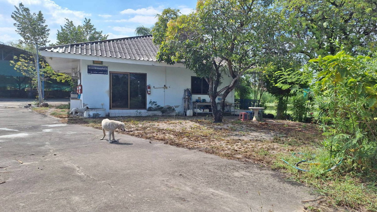 รูป ให้เช่า โกดัง 750 ตรม. รวมโรงจอดรถ 1,000 ตรม. +ออฟฟิต+ห้องพักคนงาน 6 ห้องต.พะเนียด อ.นครชับศรี จ.นครปฐม  - รูปที่ 5/8