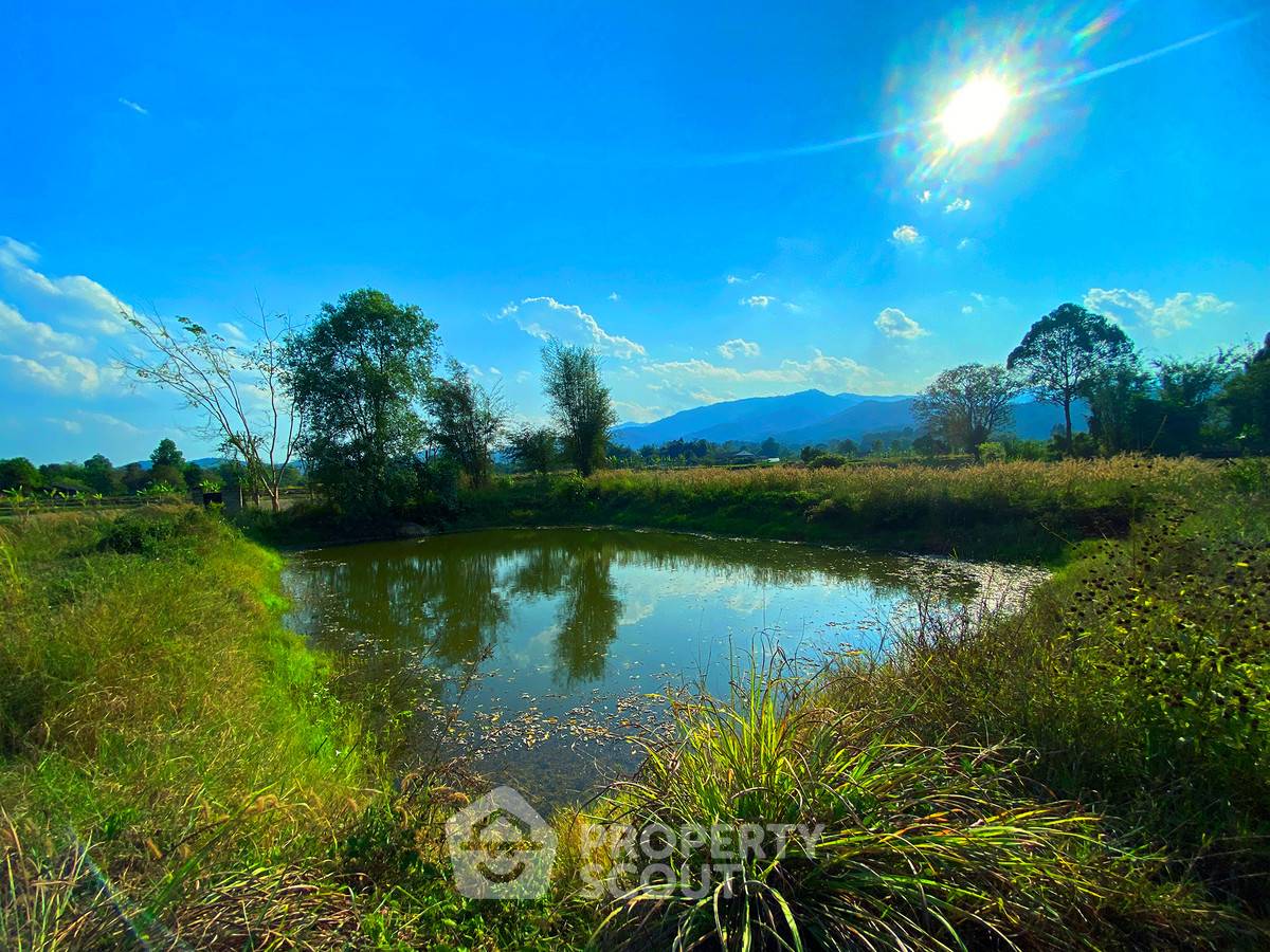 picture 12,896 m² Land for Sale in Mae Na (ID 2654835) - 8/14