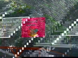 รูป Prueksa Thani Life Condotel - รูปที่ 4/8