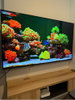 listing thumbnail image 29