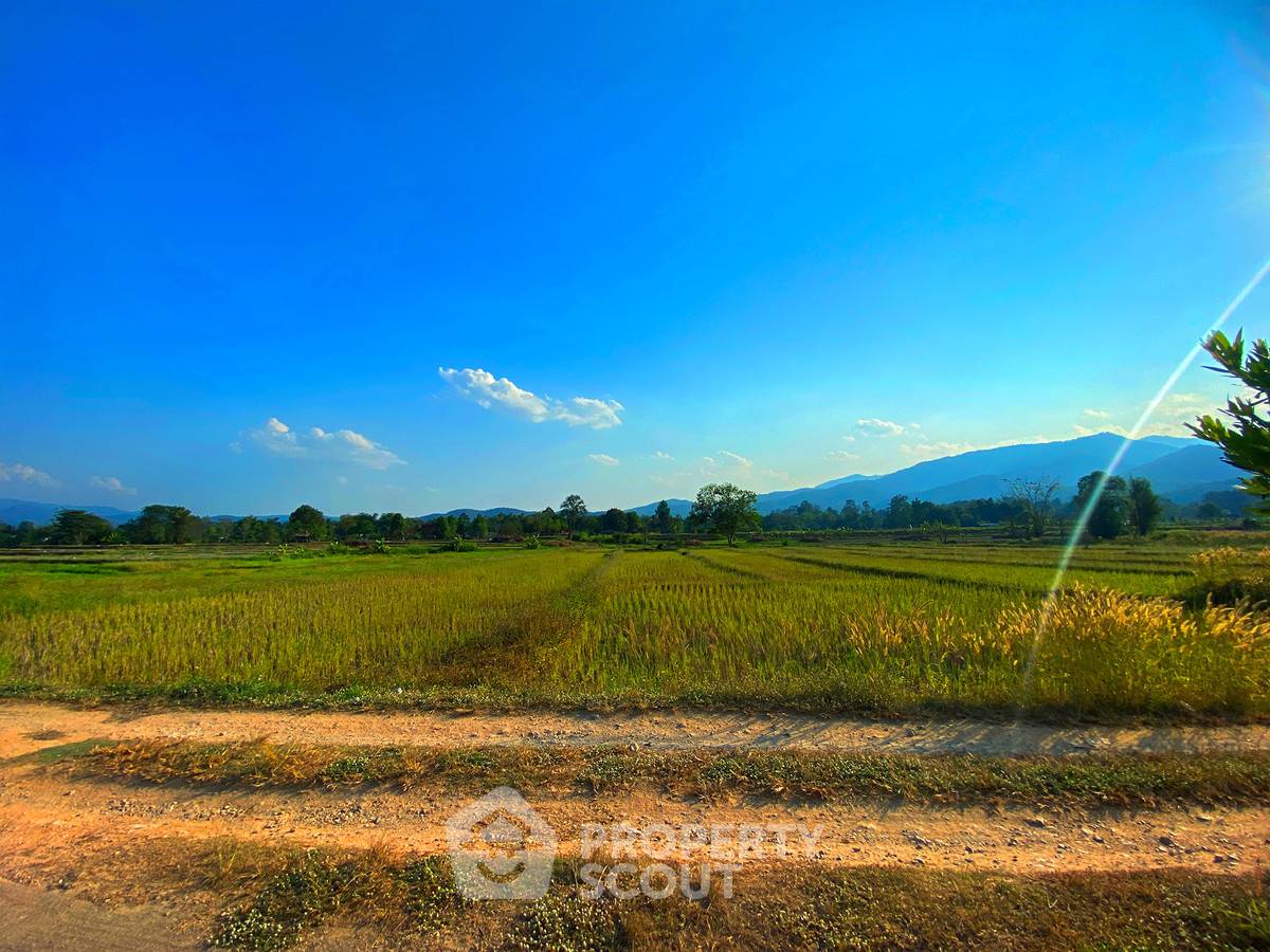 picture 12,896 m² Land for Sale in Mae Na (ID 2654835) - 2/14