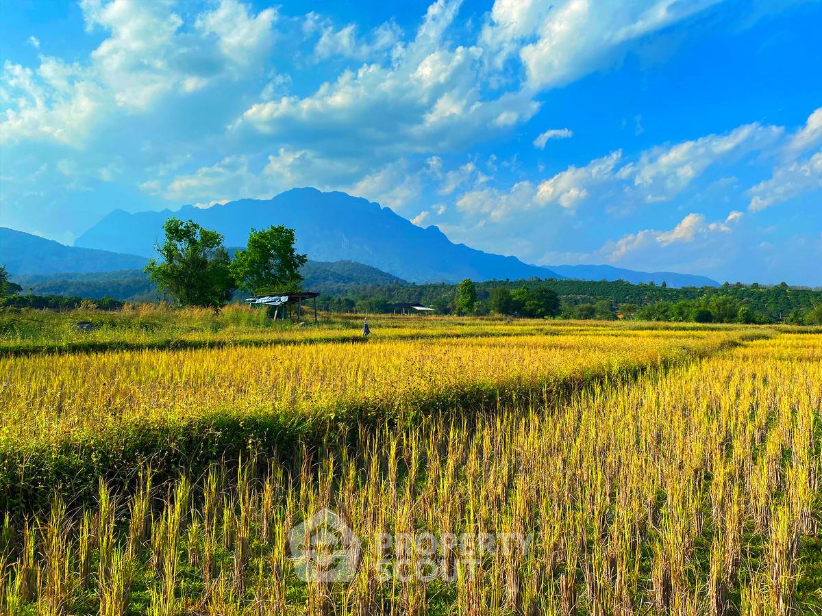 picture 12,896 m² Land for Sale in Mae Na (ID 2654835) - 9/14