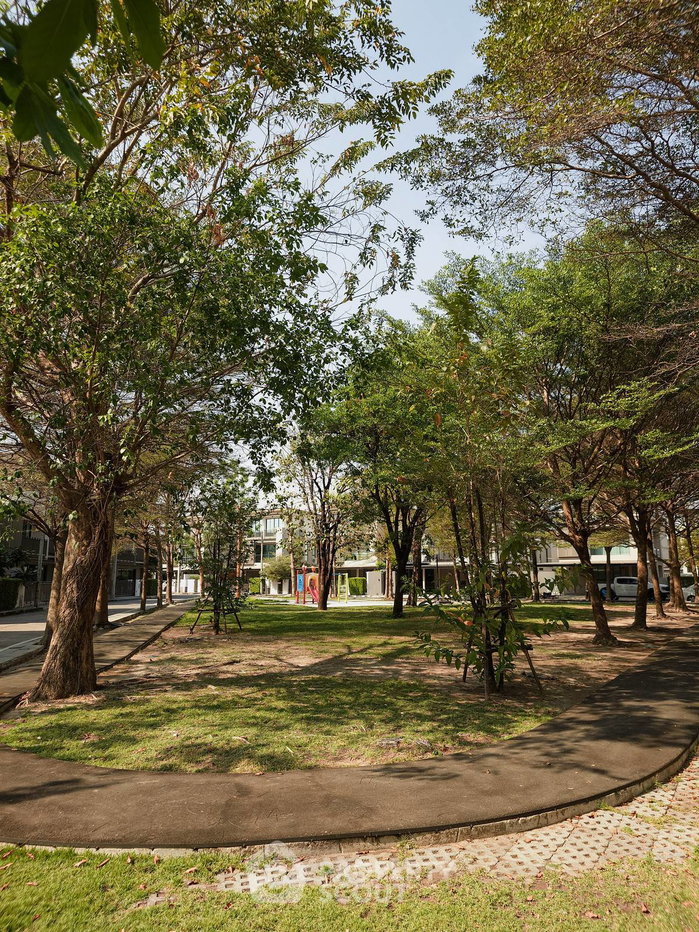 รูป บ้าน 3-ห้องนอน ที่ เอคิว อาร์เบอร์ สวนหลวง ร.9-พัฒนาการ ใน ดอกไม้ (ID 2628800) - รูปที่ 32/33