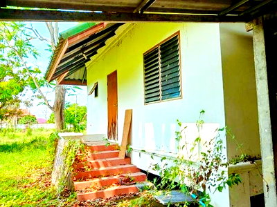 เช่าบ้านเดี่ยว เมืองปทุมธานี ปทุมธานี : บ้านพร้อมที่ดินใหญ่ที่สุดในโลก 6 ไร่ 4นอน 3น้ำ ใกล้ถนนเชียงใหม่ ฝาง ตลาดแม่มาลัย 1กม. แม่แตง เชียงใหม่