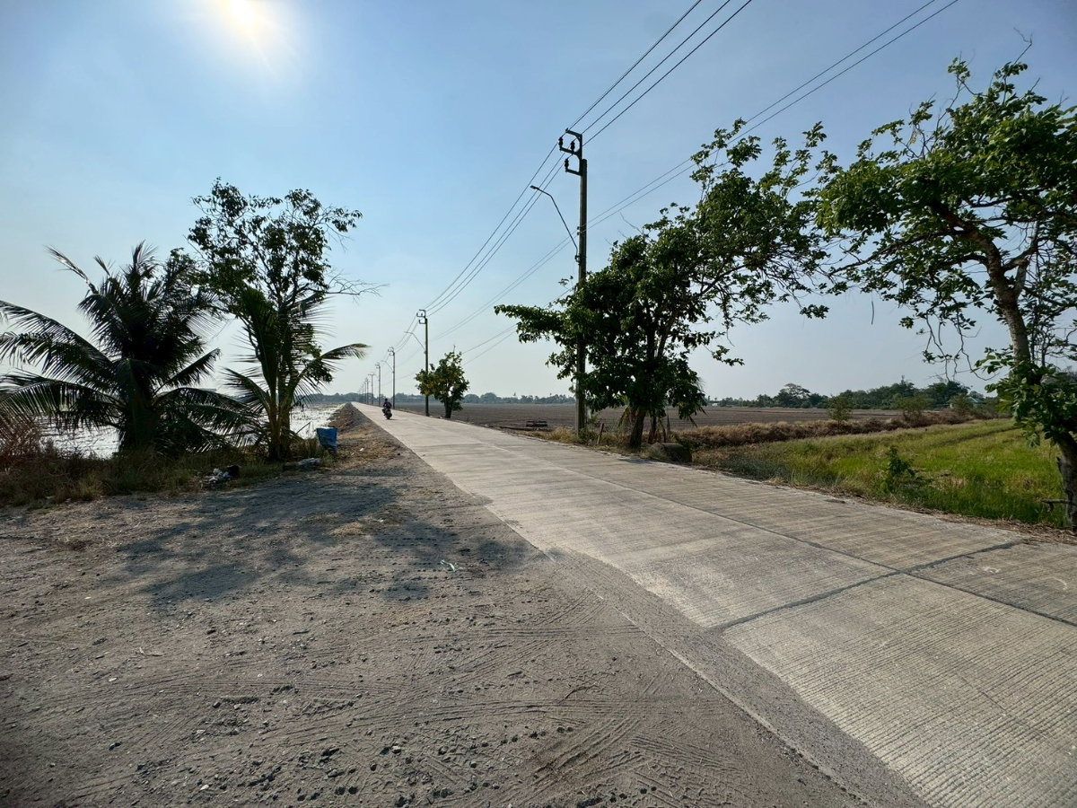 รูป ขายที่ดินสวย ซอยอยู่วิทยา หนองจอก วิวโล่ง ราคาดี **ต่ำกว่าตลาด** (N.2073) - รูปที่ 5/8