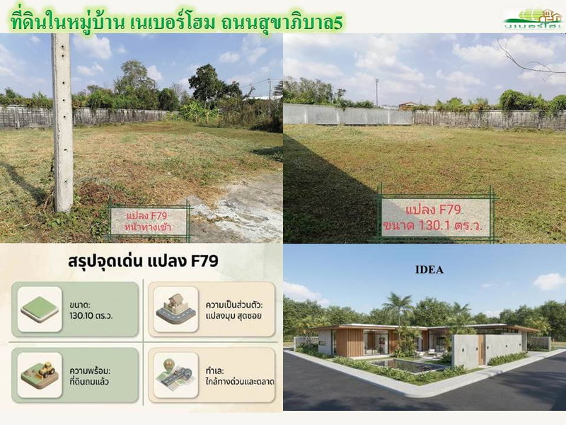 ขายที่ดิน : ขายที่ดินในหมู่บ้านเนเบอร์โฮม สุขาภิบาล5 ซอย 82