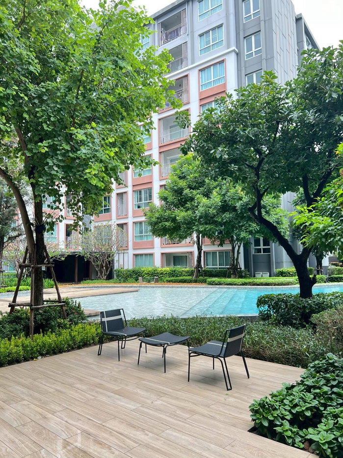รูป ขาย Dcondo Ping Chiangmai ห้องสวย ตกแต่งครบ พร้อมเข้าอยู่ - รูปที่ 11/14