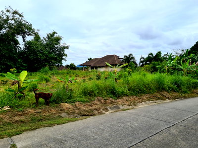 ที่ดิน เมืองภูเก็ต ภูเก็ต : ขายที่โฉนด ปรับพื้นที่แล้ว ซอยไสน้ำเย็น เนื้อที่ 259 ตร.ว. เจ้าของขายเอง