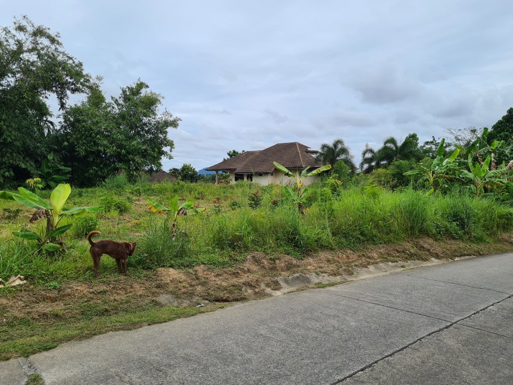 รูป ขายที่โฉนด ปรับพื้นที่แล้ว ซอยไสน้ำเย็น เนื้อที่ 259 ตร.ว. เจ้าของขายเอง - รูปที่ 1/2