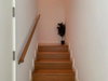 listing thumbnail image 28