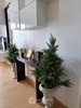 listing thumbnail image 5