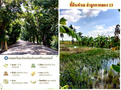 ที่ดิน วิทยาลัยเทคนิคธัญบุรี : ขายที่ดินเปล่าติดถนนลำลูกกาคลอง 13