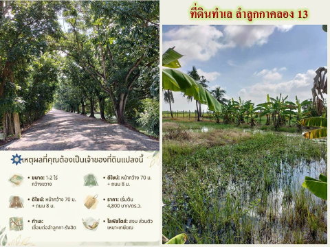 ขายที่ดินเปล่าติดถนนลำลูกกาคลอง 13