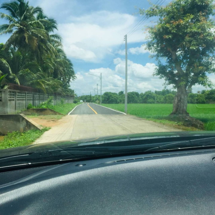 รูป ขายที่ดินแปลงสวยหางดง เห็นวิวเขา 180 องศา พร้อมสวนลำไย บรรยากาศดีมาก -SW003605 - รูปที่ 6/8