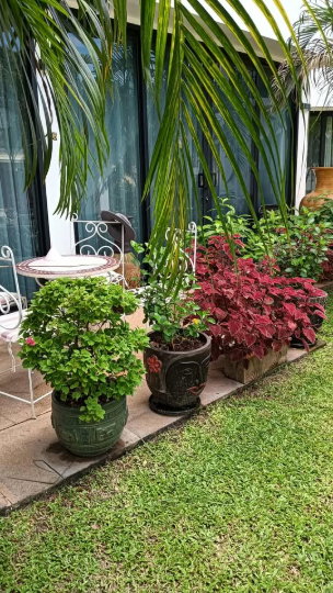 รูป ขายทาวน์เฮาส์ 3 ชั้น หมู่บ้านซันไรส์ วิลล่า รีสอร์ท ห้วยใหญ่ พัทยา - รูปที่ 13/18