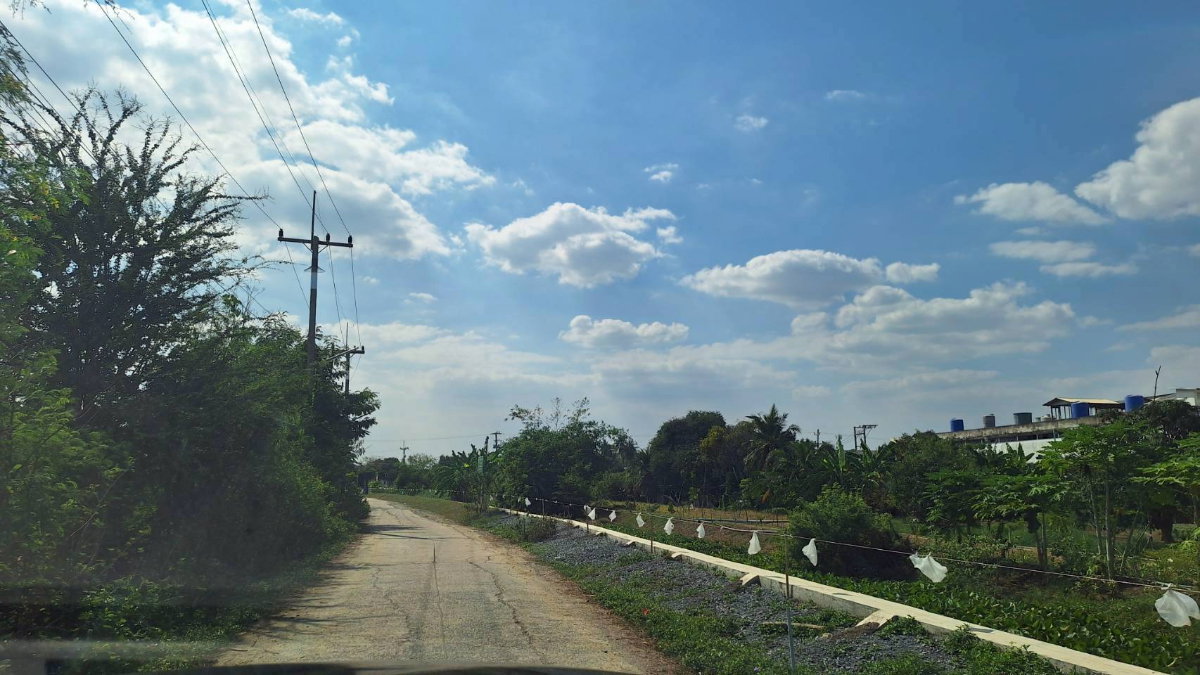 รูป ให้เช่า โกดัง 750 ตรม. รวมโรงจอดรถ 1,000 ตรม. +ออฟฟิต+ห้องพักคนงาน 6 ห้องต.พะเนียด อ.นครชับศรี จ.นครปฐม  - รูปที่ 3/8