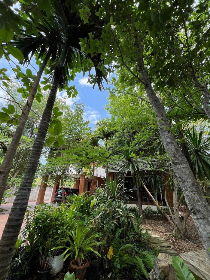 รูป บ้านให้เช่า ในหมู่บ้านวังตาล เชียงใหม่ 4 ห้องนอน 4 ห้องน้ำ พร้อมเฟอร์นิเจอร์ครบ (R1026) T.0946511456 - รูปที่ 4/11