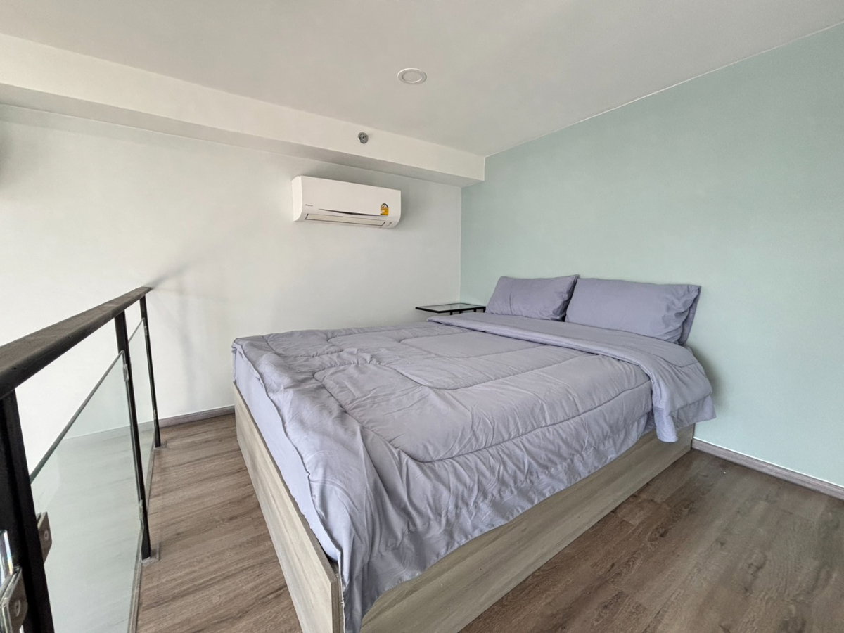 picture ✨🦄 Special Offer 🦄✨Knightsbridge kaset - society - 6/17