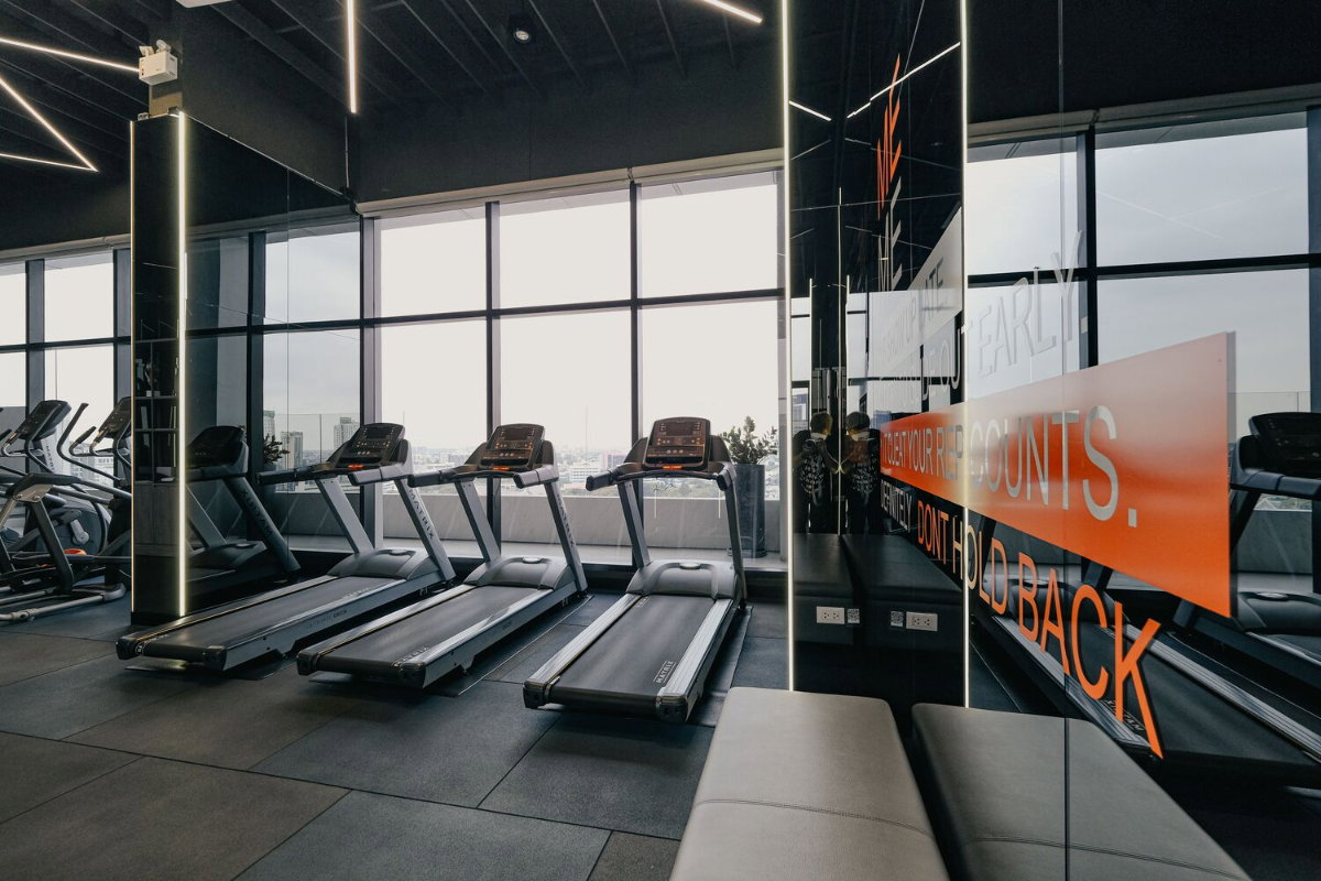 picture ✨🦄 Special Offer 🦄✨Knightsbridge kaset - society - 16/17