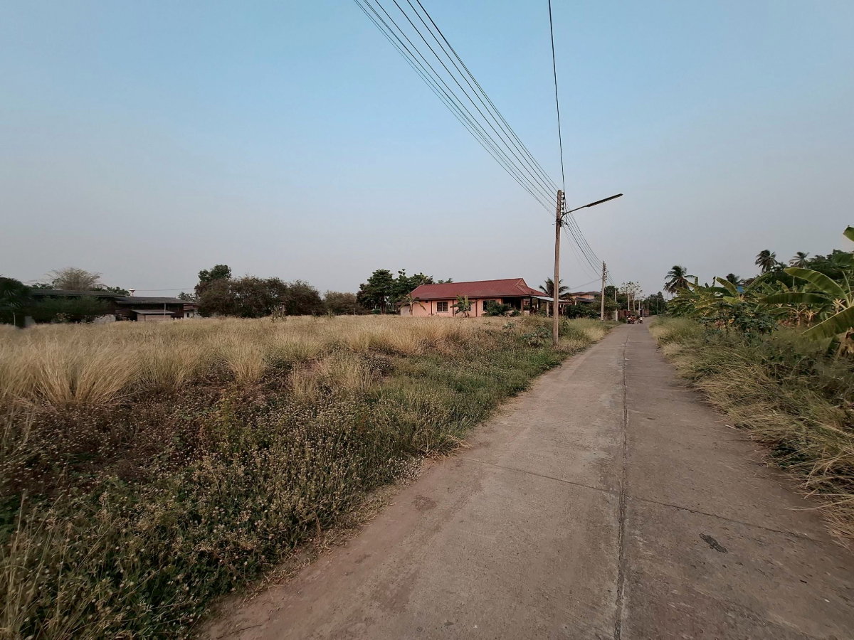 picture Land for sale in Phetchabun ,Saraburi-Lomsak road. - 10/12