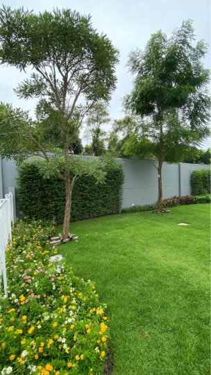 รูป RS5783 ให้เช่าบ้านใหม่ Anya Bangna – Ramkhamhaeng 2  ตกแต่งจัดเต็ม สไตล์อบอุ่น หรู พร้อมอยู่ - รูปที่ 16/25