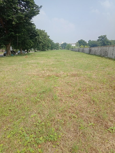 รูป ขายที่ดินติดถนนรามคำแหง ซอย150 - รูปที่ 3/9