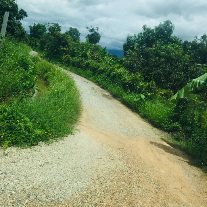 รูป ขายที่ดินแปลงสวยหางดง เห็นวิวเขา 180 องศา พร้อมสวนลำไย บรรยากาศดีมาก -SW003605 - รูปที่ 7/8