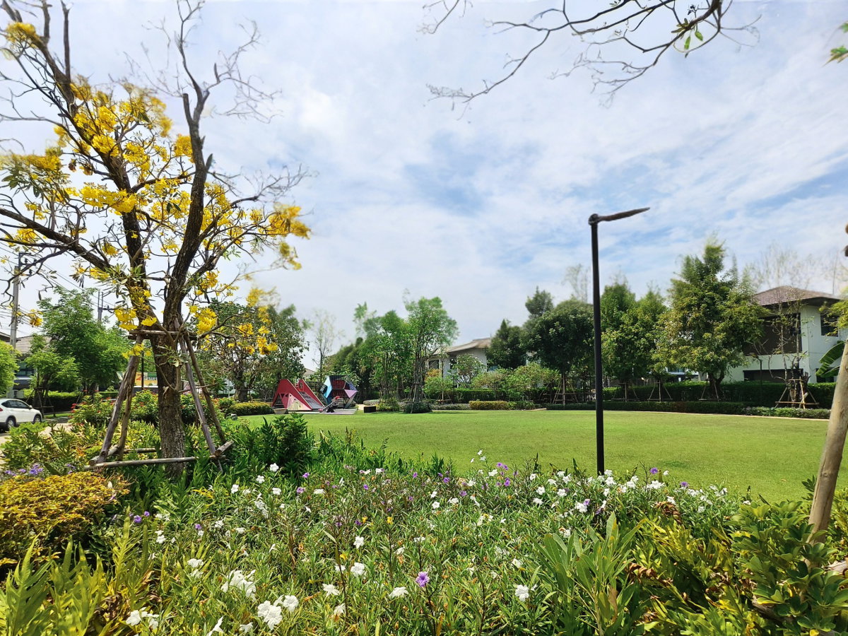 รูป ขาย บ้านเดี่ยว แปลงมุมติดสวน ถูกที่สุดใน type เดียวกัน มีห้องนอนชั้นล่าง ตกแต่งสวยพร้อมอยู่ หมู่บ้านบุราสิริ วงแหวน-อ่อนนุช 4ห้องนอน 4ห้องน้ำ - รูปที่ 28/30