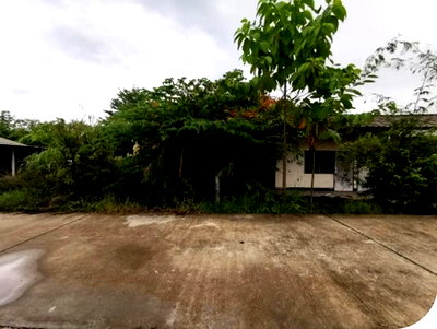 Houses for sale Phitsanulok Airport : FOR SALE  HOUSE PROPERTY  4851000 BAHT.