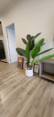 picture For rent : Niche MONO Sukhumvit-Bearing 2 bedroom - 1 bathroom - 14/15