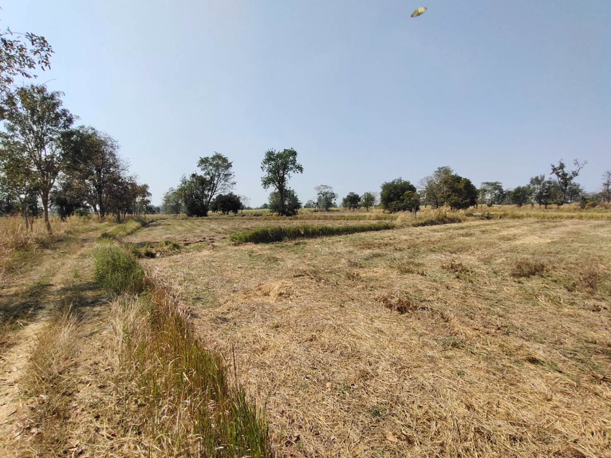 รูป ขายที่ดิน 6 ไร่ โคราช ซื้อตอนนี้ลดให้อีก ..ขายด่วน - รูปที่ 7/7