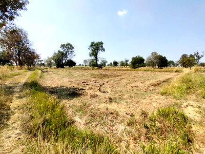 ที่ดิน นครราชสีมา (โคราช) : ขายที่ดิน 6 ไร่ โคราช ซื้อตอนนี้ลดให้อีก ..ขายด่วน